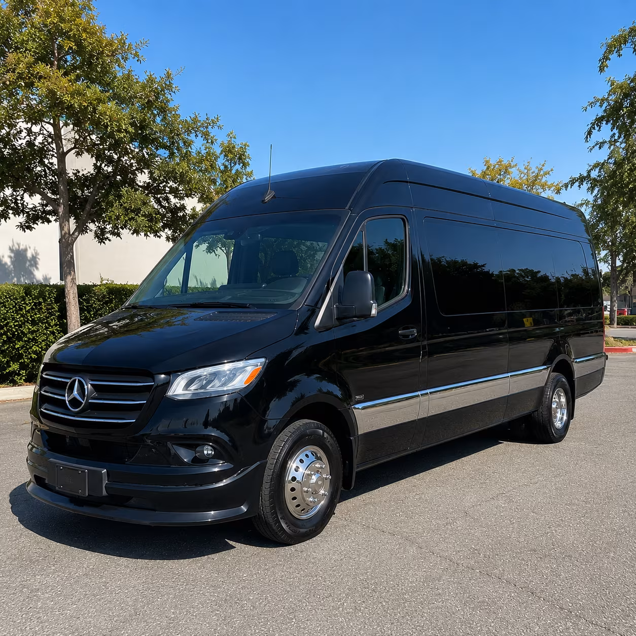 12 passenger sprinter van
