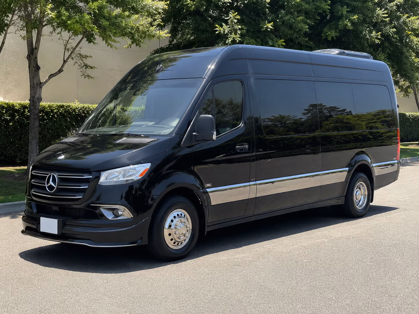 find the perfect transportation for your next birthday 1